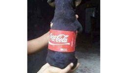 新闻哥被爆料欠钱不还的视频,诚信危机引发热议